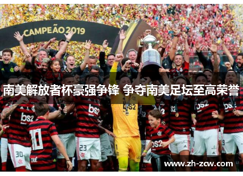 南美解放者杯豪强争锋 争夺南美足坛至高荣誉 南美解放者杯豪强争锋 争夺南美足坛至高荣誉